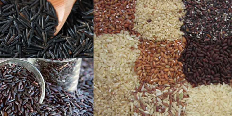 Promoting Indigenous Varieties of Rice | Indian Century