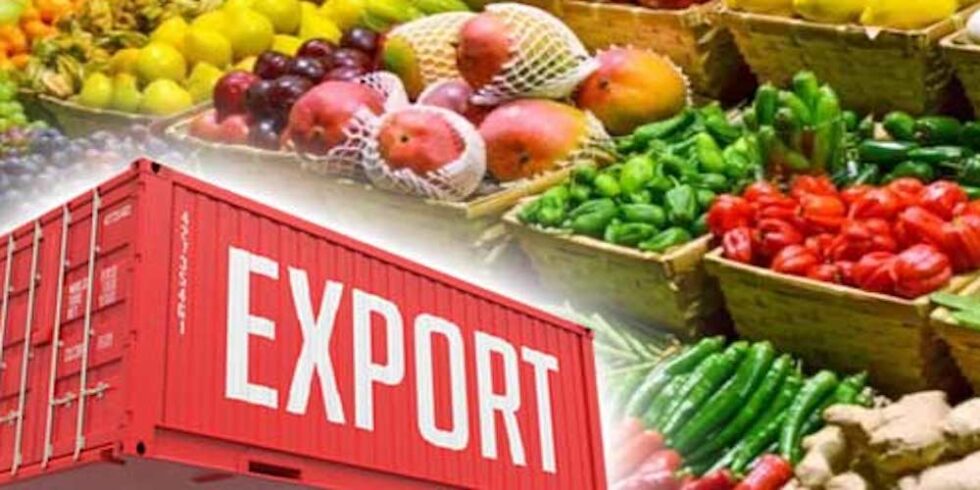 india-s-farm-exports-are-on-a-rising-curve-indian-century